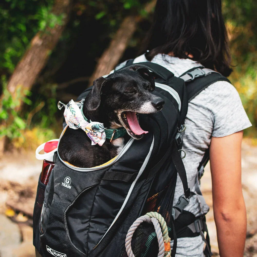g train dog carrier backpack kurgo g train dog carrier backpack kurgo