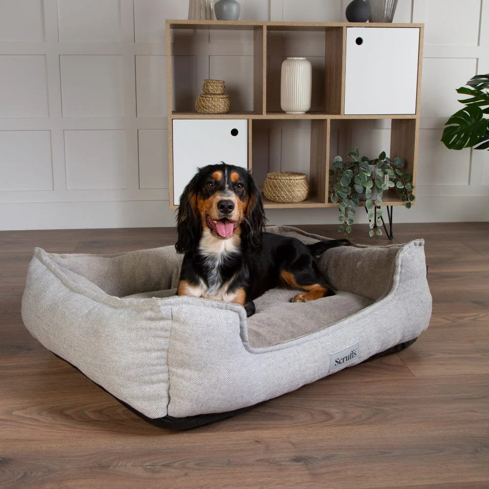 harvard orthopedisch box bed harvard orthopedisch box bed