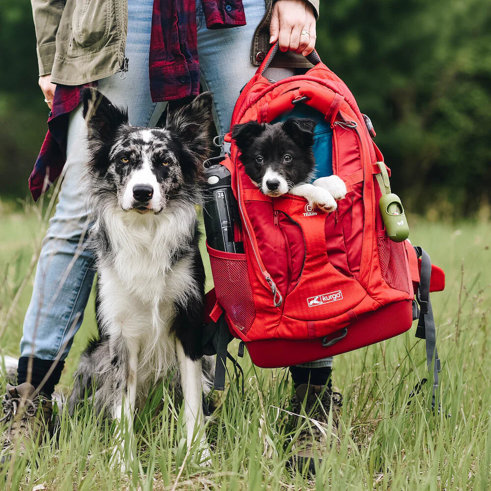g train dog carrier backpack kurgo g train dog carrier backpack kurgo