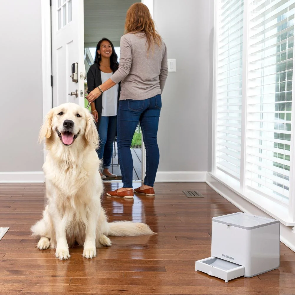 teach & treat remote reward trainer petsafe teach & treat remote reward trainer petsafe