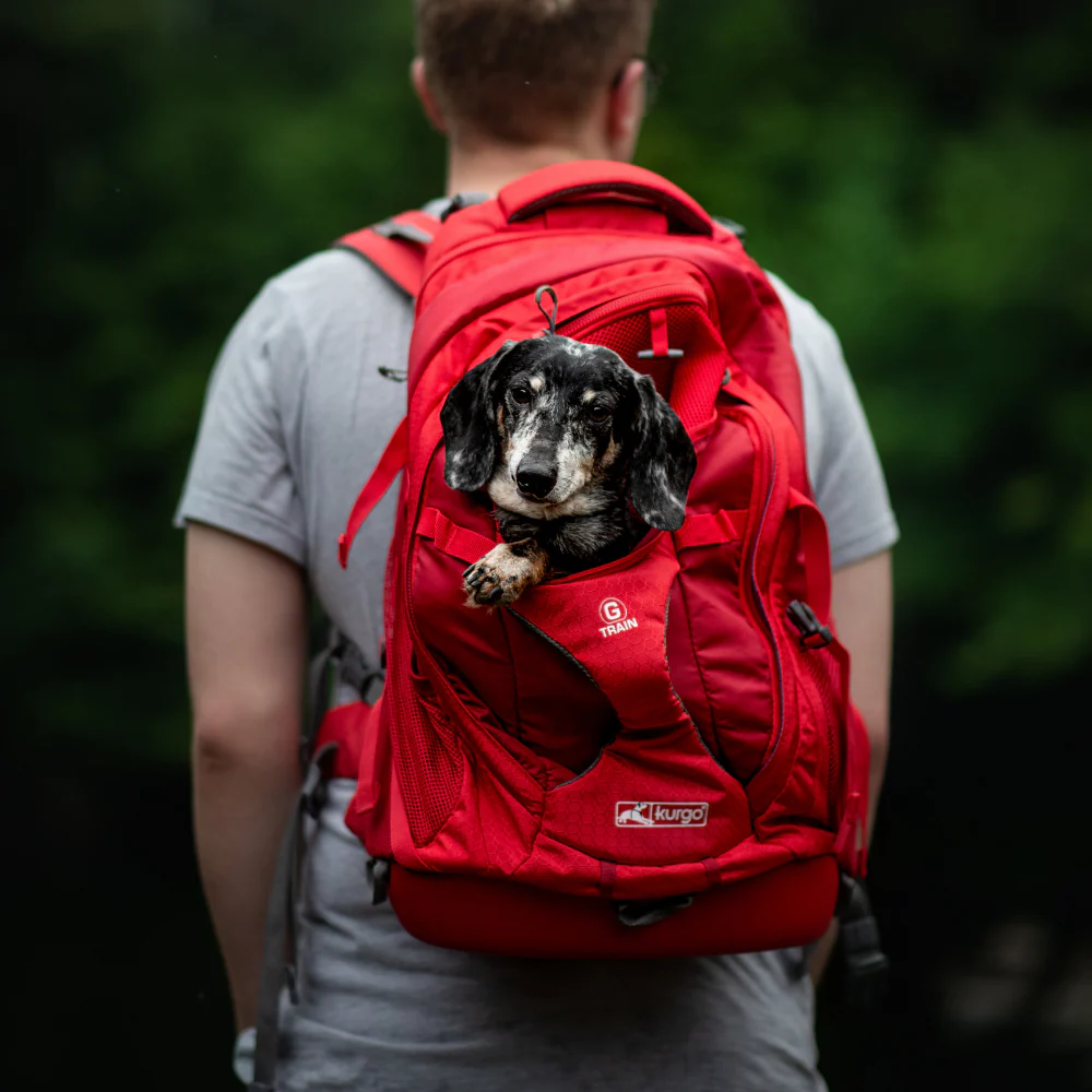 g train dog carrier backpack kurgo g train dog carrier backpack kurgo