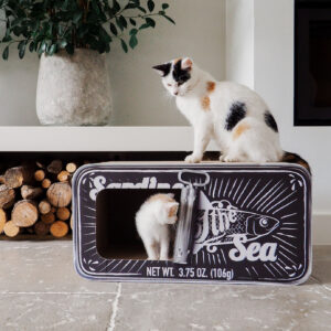 Home sardine krabpaal en schuilplaats district 70