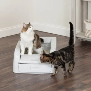 Home scoopfree™ clumping self cleaning litter box petsafe